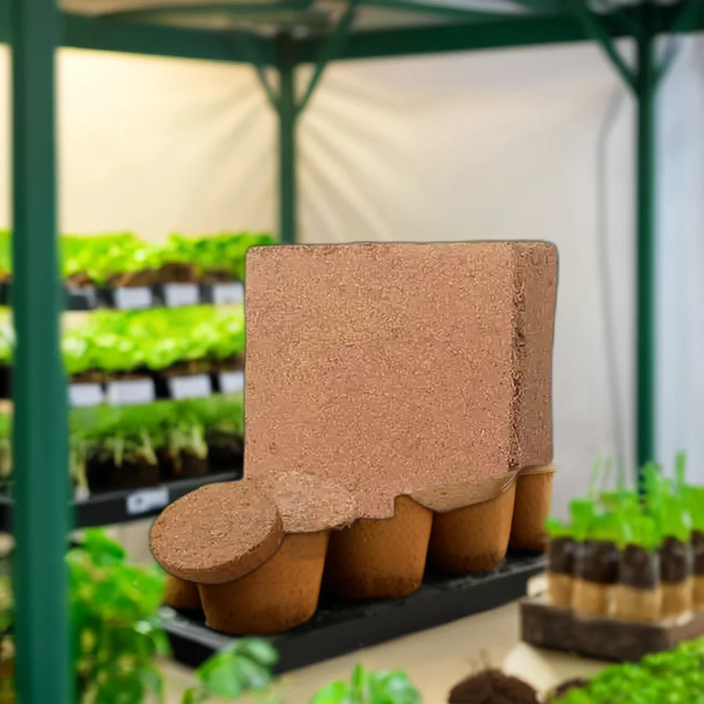 Оптовая продажа тюк для поддонов кокосового кокоса и торфа диска шелухи дома сада