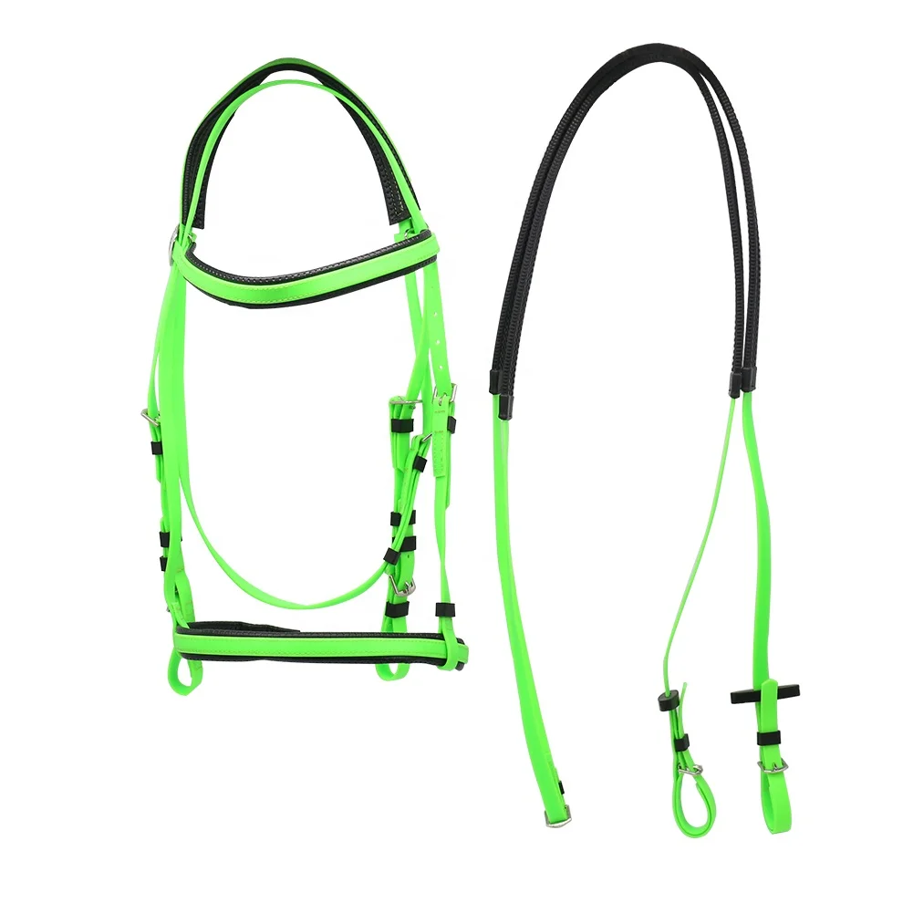 Horse Bridle And Reins