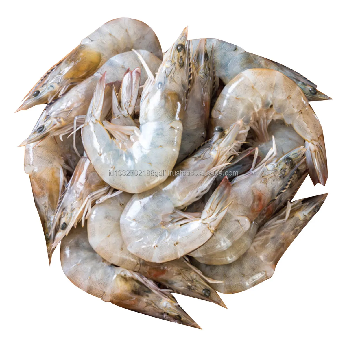 Direct Factory High Quality Wholesale White Shrimp/Fresh Water Prawn/Frozen Vannamei Shrimp Feed From Indonesia
