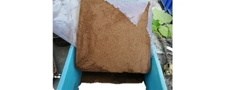 Coco Peat Blocks