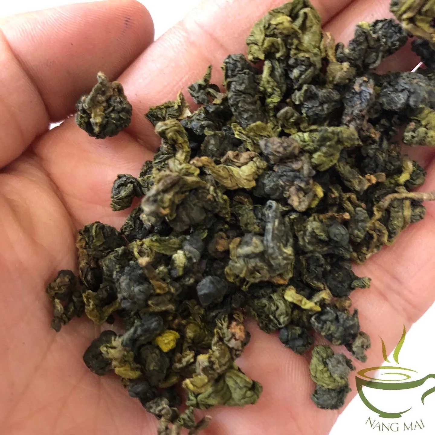 Partially Oxidized Tea Wu Long Green Tea Milk Tea Best Quality Rich Aroma from Vietnam Ha Giang Province