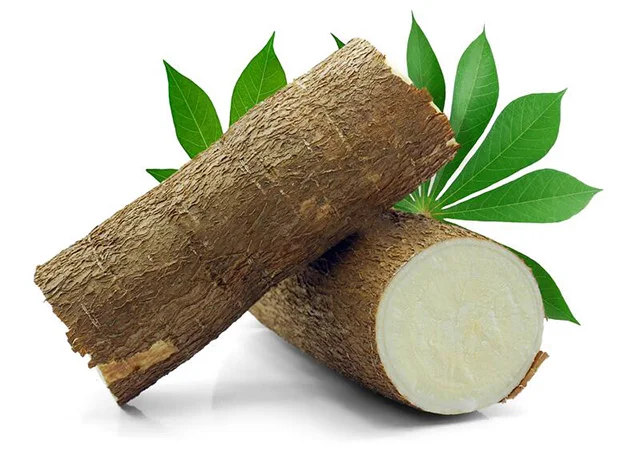 Thailand Organic Tapioca Starch / Maize Starch Price In Bulk For Sale.