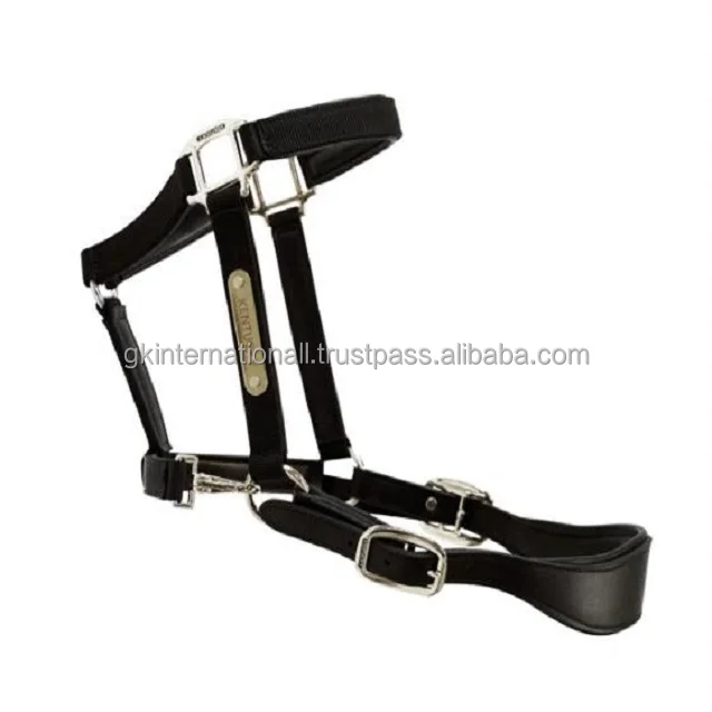 Extra Comfort Anatomically shaped handmade Padded Leather horse halter with brass name plate & double crown buckle set