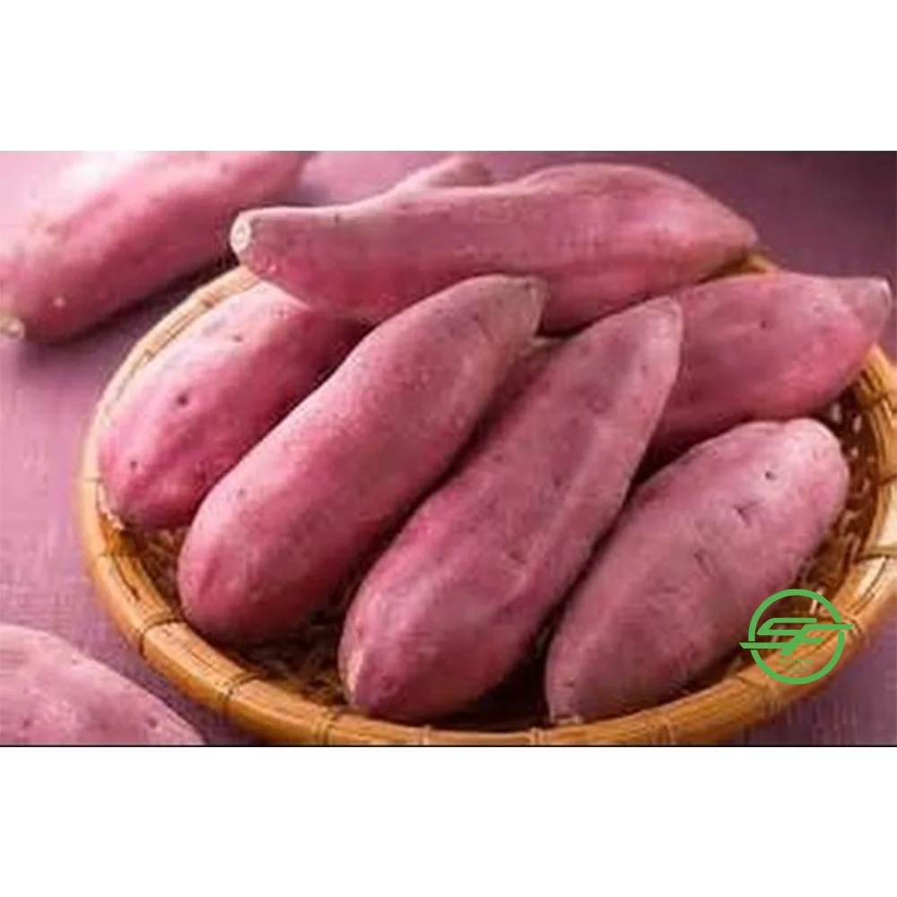 New Season High Quality Sweet Potatoes With Natural Sweet Taste Frozen Sweet Potato From Vietnamese Wholesaler