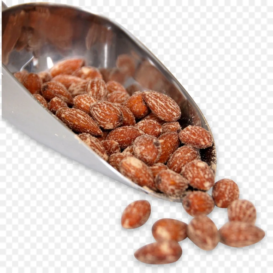 Roasted and Salted Hickory nuts