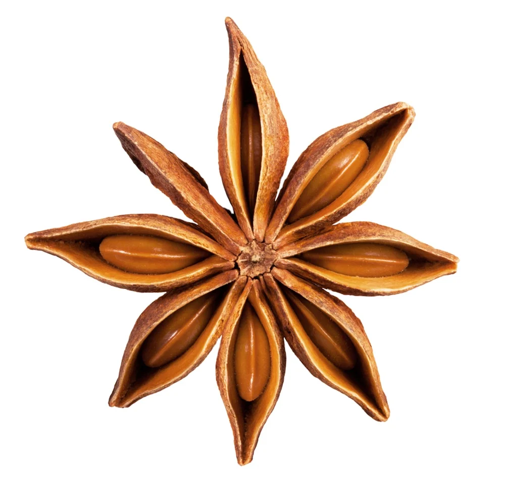 Star Anise Spices Dried Red Star Anise, a High-quality Herb Spice Ingredient Dara Truong +84345064531