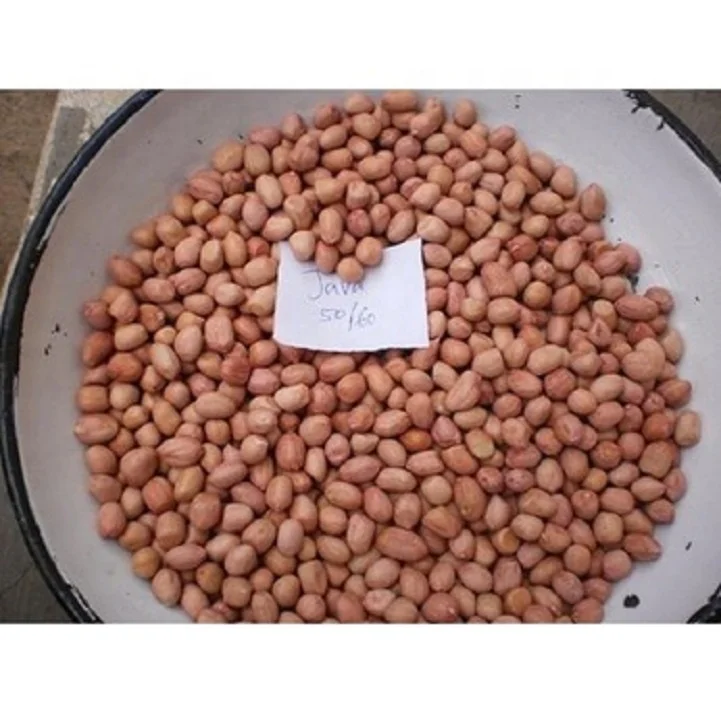 Mungfali Dana 50 60 JAVA Peanut Groundnut Kernels at best Offer Price