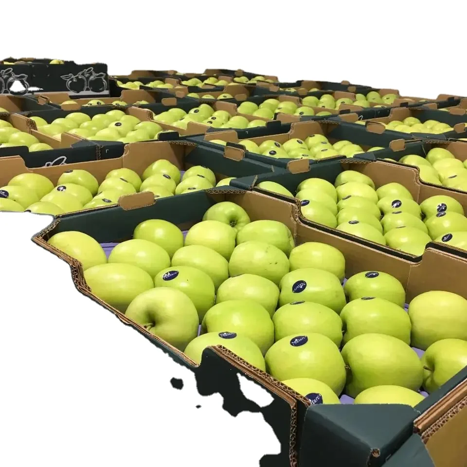 Fresh Green Granny Smith Apples /Fresh Red Fuji Apples /Royal Gala/Red Delicious