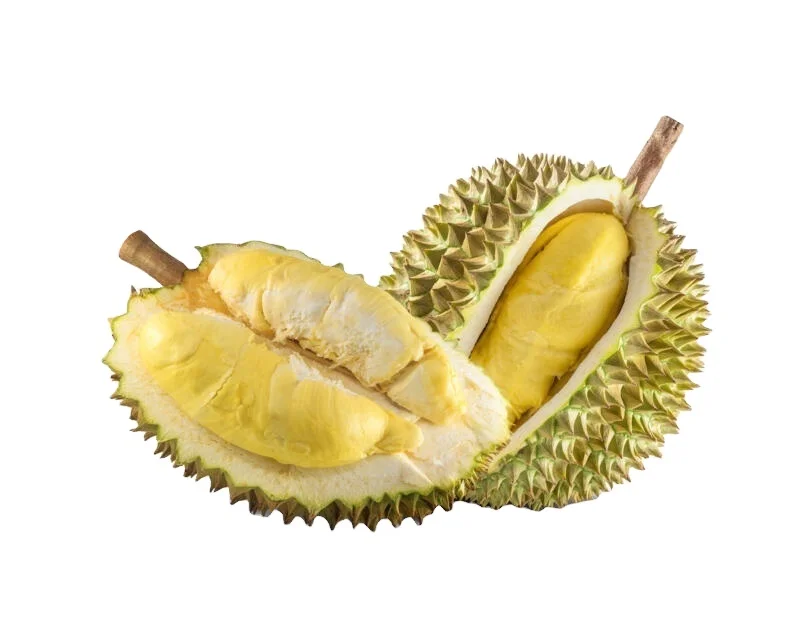 Sweet and Fresh Durian from Vietnam with Export quality Quick Response and Good price from Vietnam high quality frozen Duriann