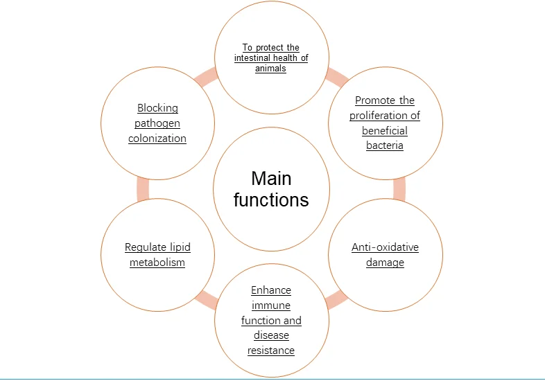 High quality feed grade xylo-oligosaccharide powder with best price for sale
