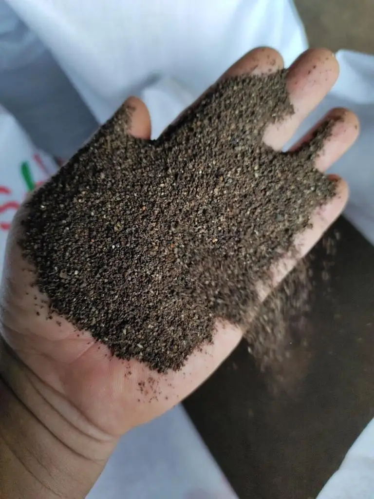 Vietnamese Pinhead 1mm-3mm High Quality Wholesales Price From Phalco Vietnam JSC