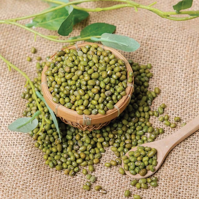 Wholesale Price Green Beans Bigger Size Cheap Top Quality Dried Green Mung Beans Made In Vietnam Best Price