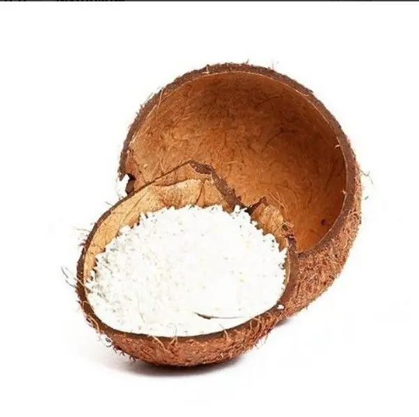 DESICCATED COCONUT FROM VIETNAM WHOLESALE BULK WITH HIGH QUALITY