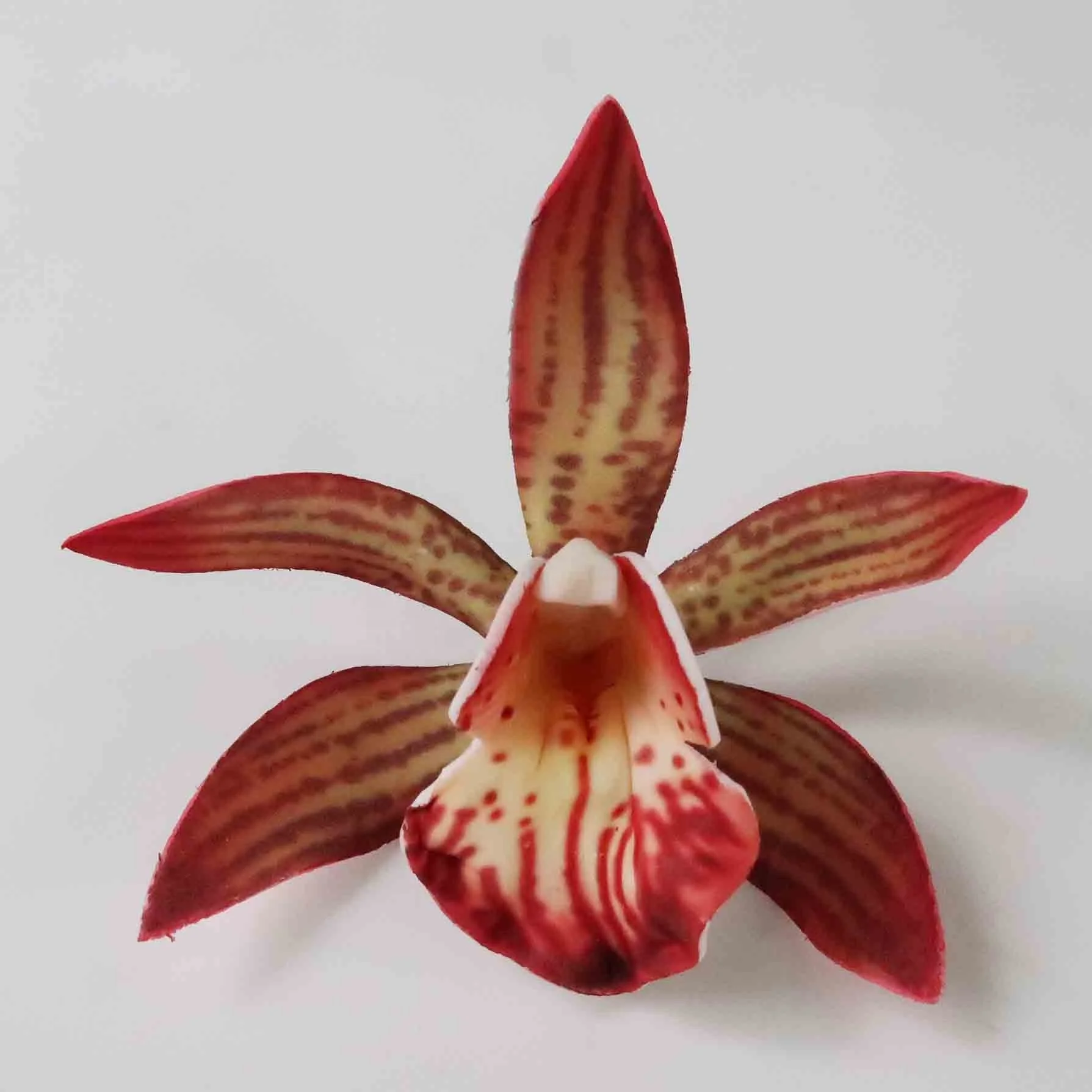 Лучший продавец, хорошее качество, ручная работа, искусственный cymbidium пенный цветок со специальной татуировкой и цветным рисунком