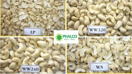 Vietnamese Cashew Nuts - Original W240, W320, W180 Grades for Import and Export