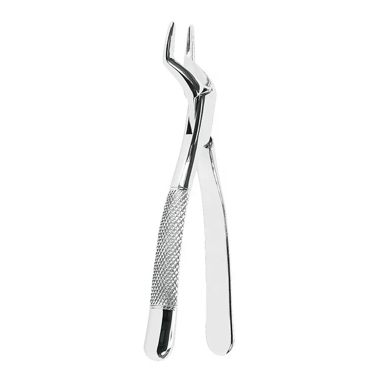 Stainless Steel Dental Extracting Forceps Upper Incisors and Roots