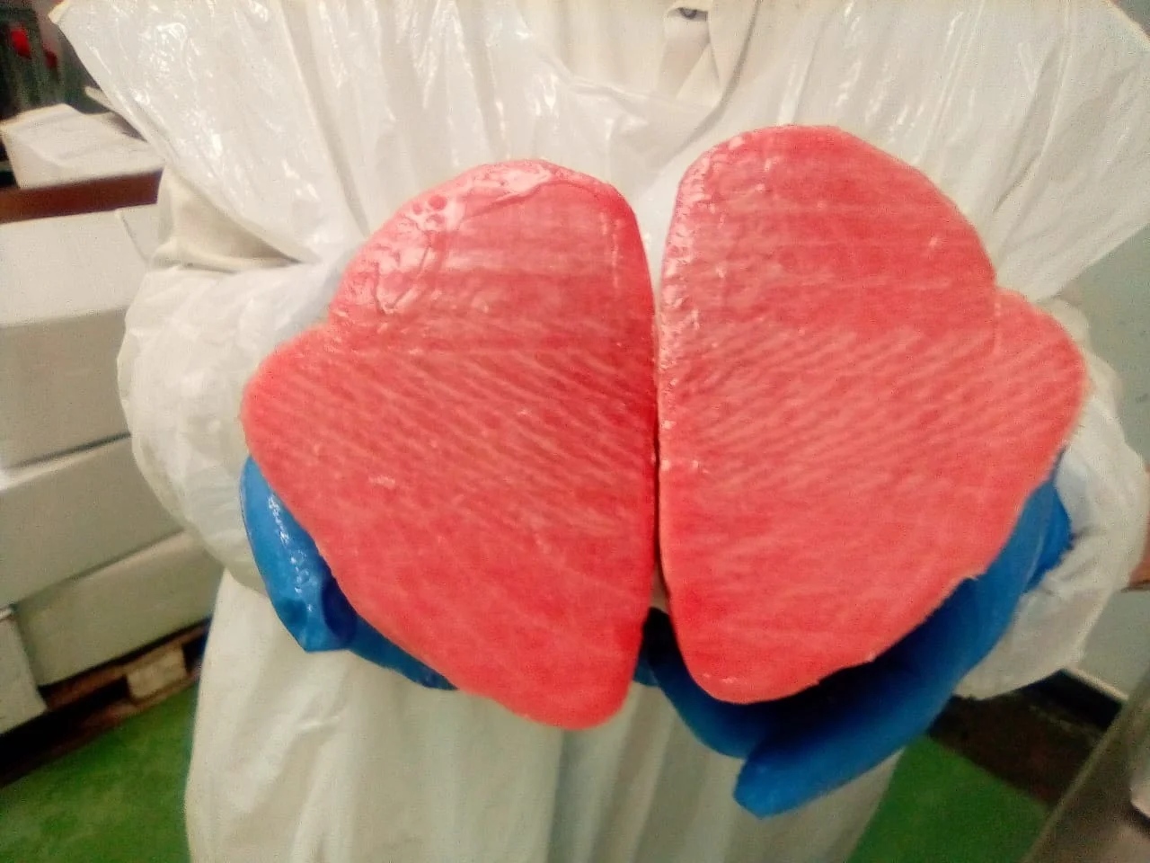 Hot Selling In 2021 Frozen Tuna CO treated , origin VietNam /100% CO treated form fresh raw material