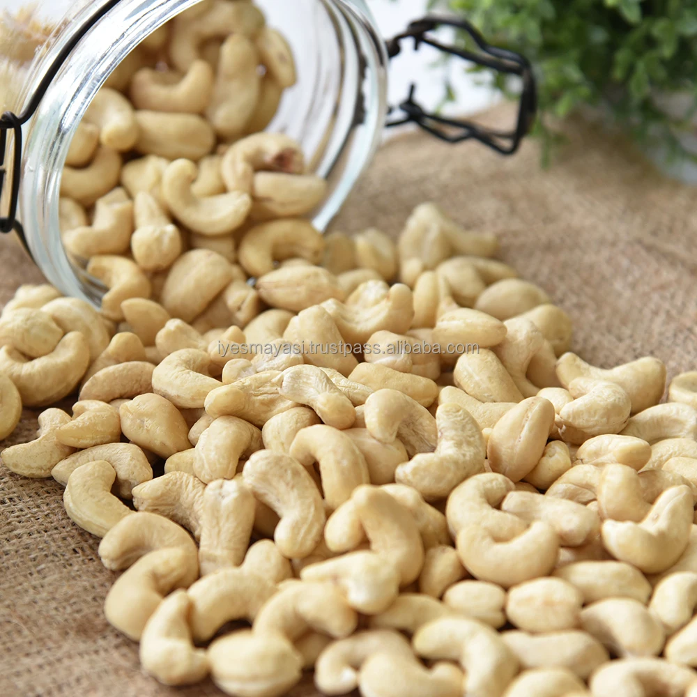 Best Quality Cashew Nut Grade W320 Indonesia Origin Raw Vacuum Pack