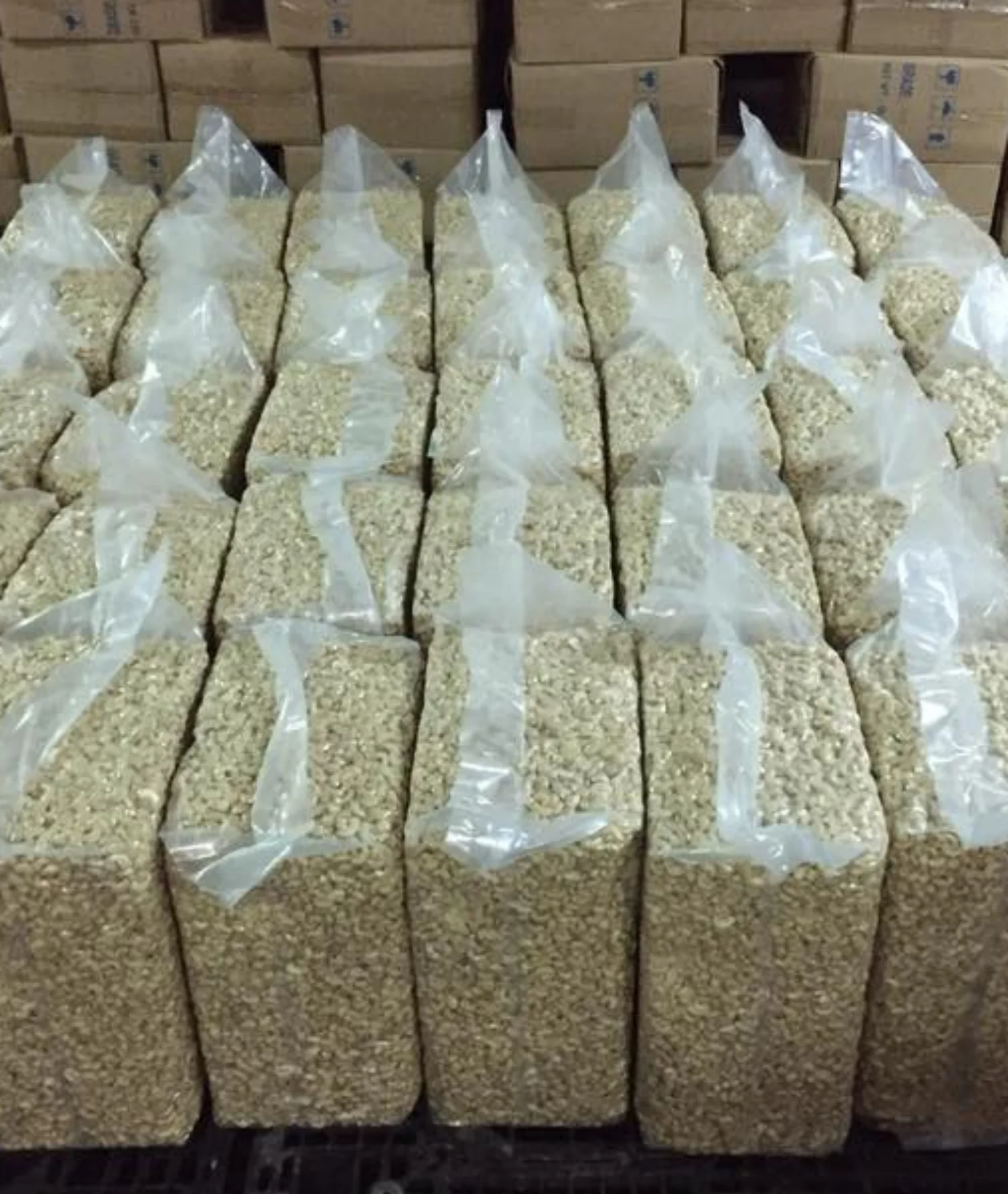 CASHEW NUT  GRADE WW 450, VIETNAM ORIGIN, HIGH QUALITY, BEST PRICE, CROP 2022-2023, USED FOR FOOD