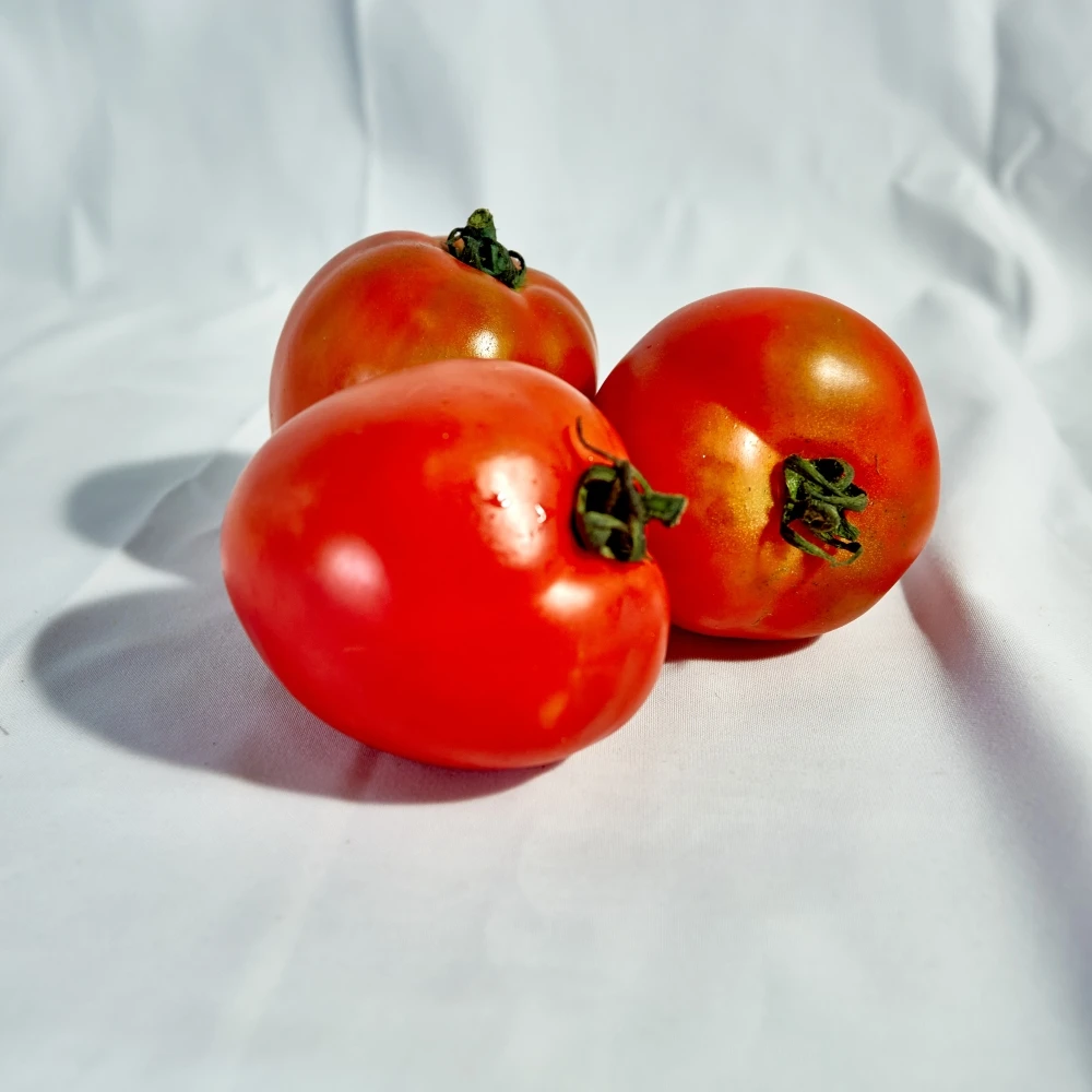 Agriculture from VIETNAM Tomatoes Export to EU USA UAE Etc High Quality Tomato Red Style Storage Packing GLOBAL GAP Color Raw