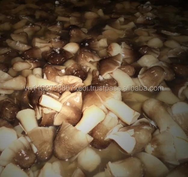 Замороженные мелкие соломенные грибы профессиональный поставщик из Вьетнама для пищевых продуктов Ms Hana