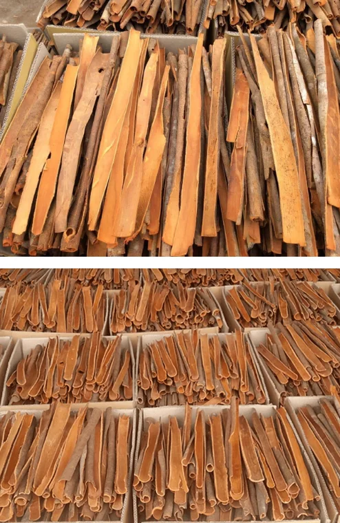 Оптовая продажа 8-20 см карандаш корицы кассии рулоны пряные продукты для экспорта