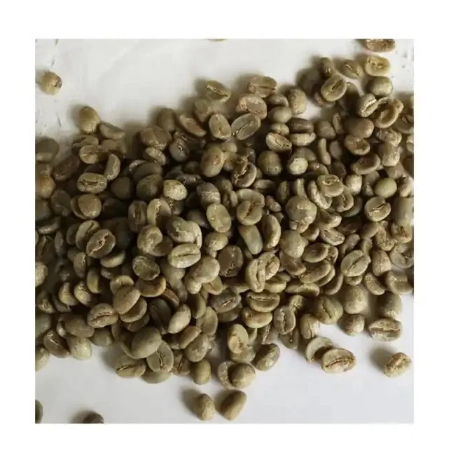 Manufacture Products Speciality Coffee Price of Raw Coffee Beans Vietnam Export Products Whole Bean Coffee Robusta Green Beans