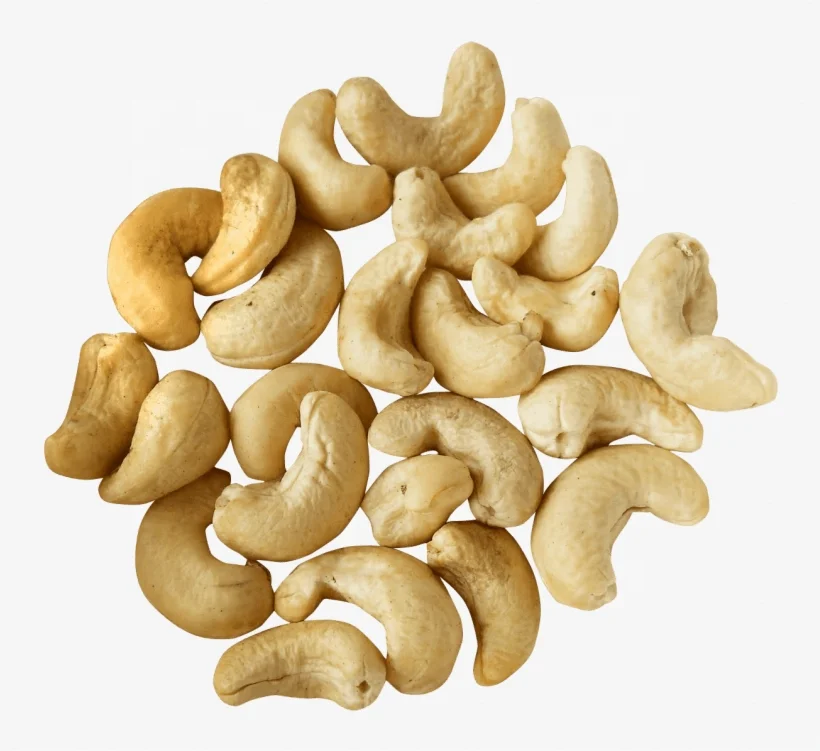 Food & Beverages Certified 15 percent moisture Tempting Grade Seed Cashew Nuts WW 240
