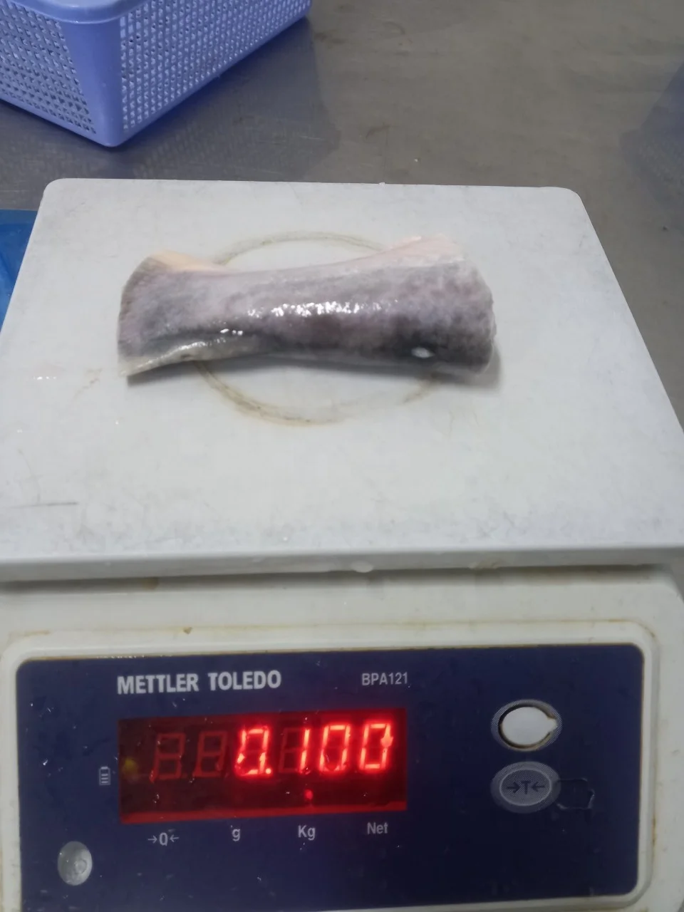 Best selling Frozen Pangasius Steak/ Basa fish steak/ Cream Dory fish steak From VietNam