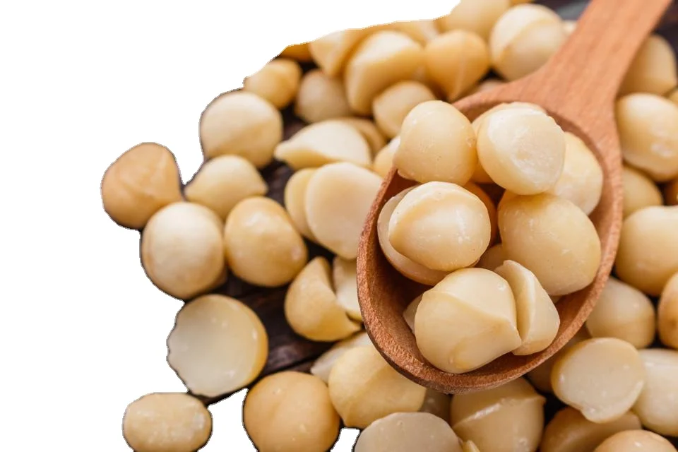 100% органический макадамия высокое качество сушеный жареный из Вьетнама для здоровых орехов готовый к отправке