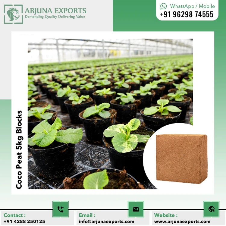 Supplier of High Quality Bulk Quantity Coco Coir Peat Coco Pith 5kg Block For Seedling Nurseries And Greenhouse Growers