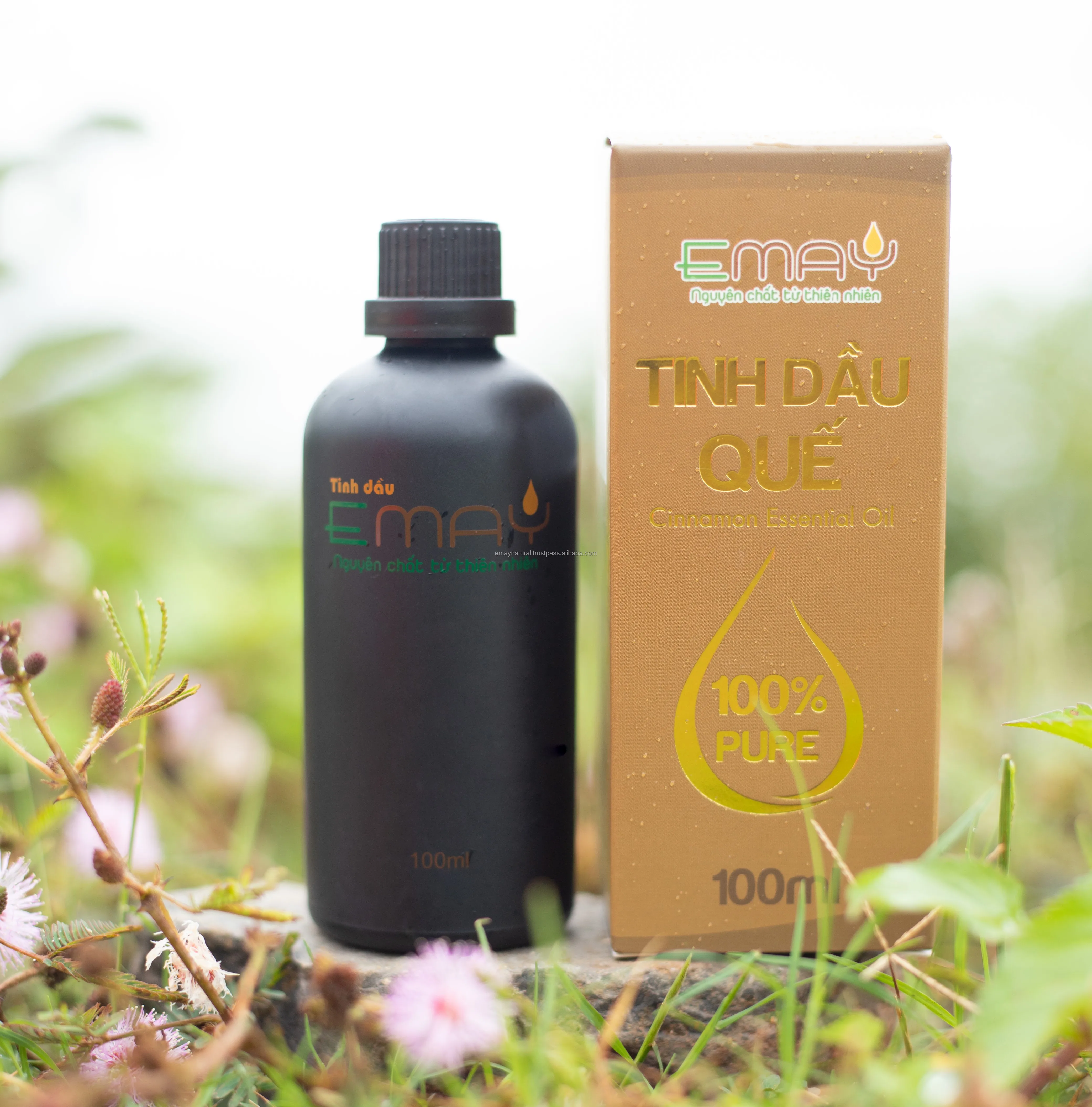 High Quality Emay Essential Oil Extracted From Cinnamon Set 10 50 100 ml Bottled Aromatherapy Oil Accept OEM Order