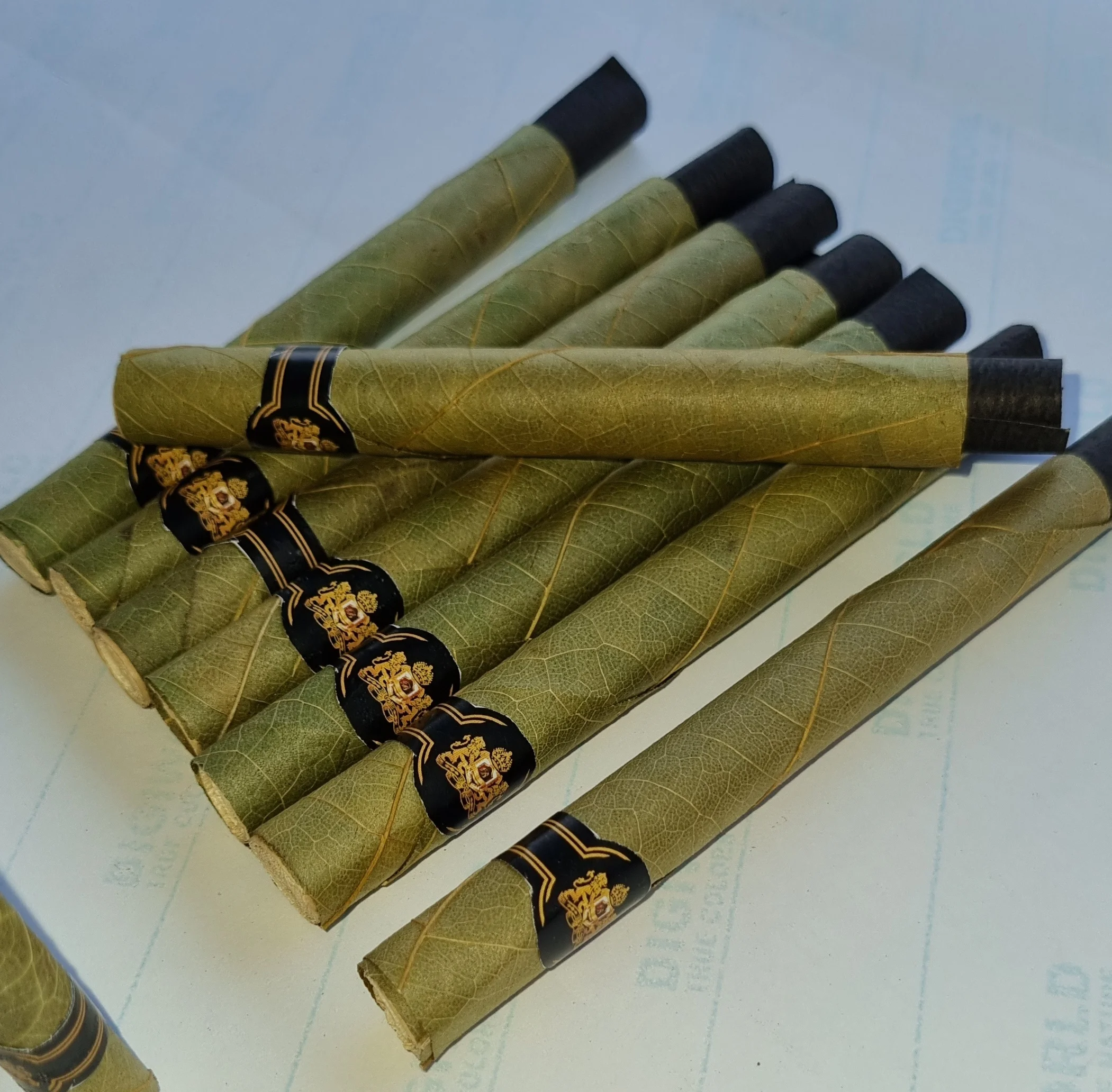 Зеленые и свежие предварительно свернутые листья и конусы cordia и tendu OEM предварительно свернутые листья cordia и tendu наконечники фильтра кукурузной шелухи оптом