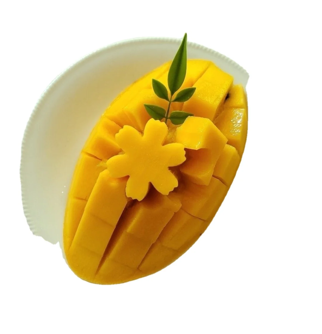 Best Selling Fresh Mango Fruit Ready To Export Chaunsa / Sindhri Mangoes From Vietnam 2023