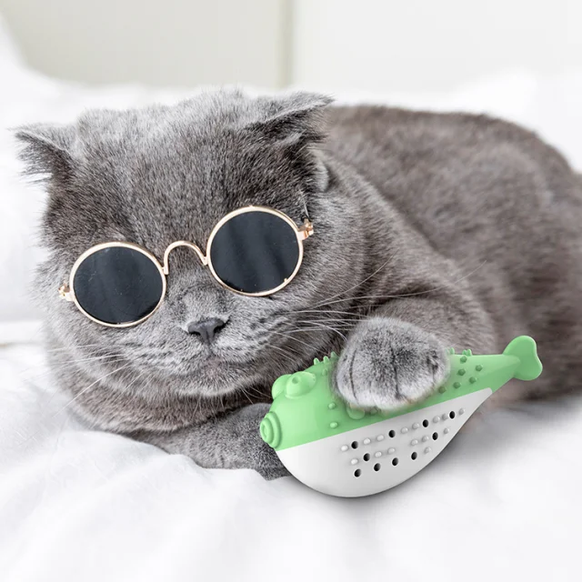 Pet Teeth Grinding Toys With Catnip Ball Cat Toothbrush