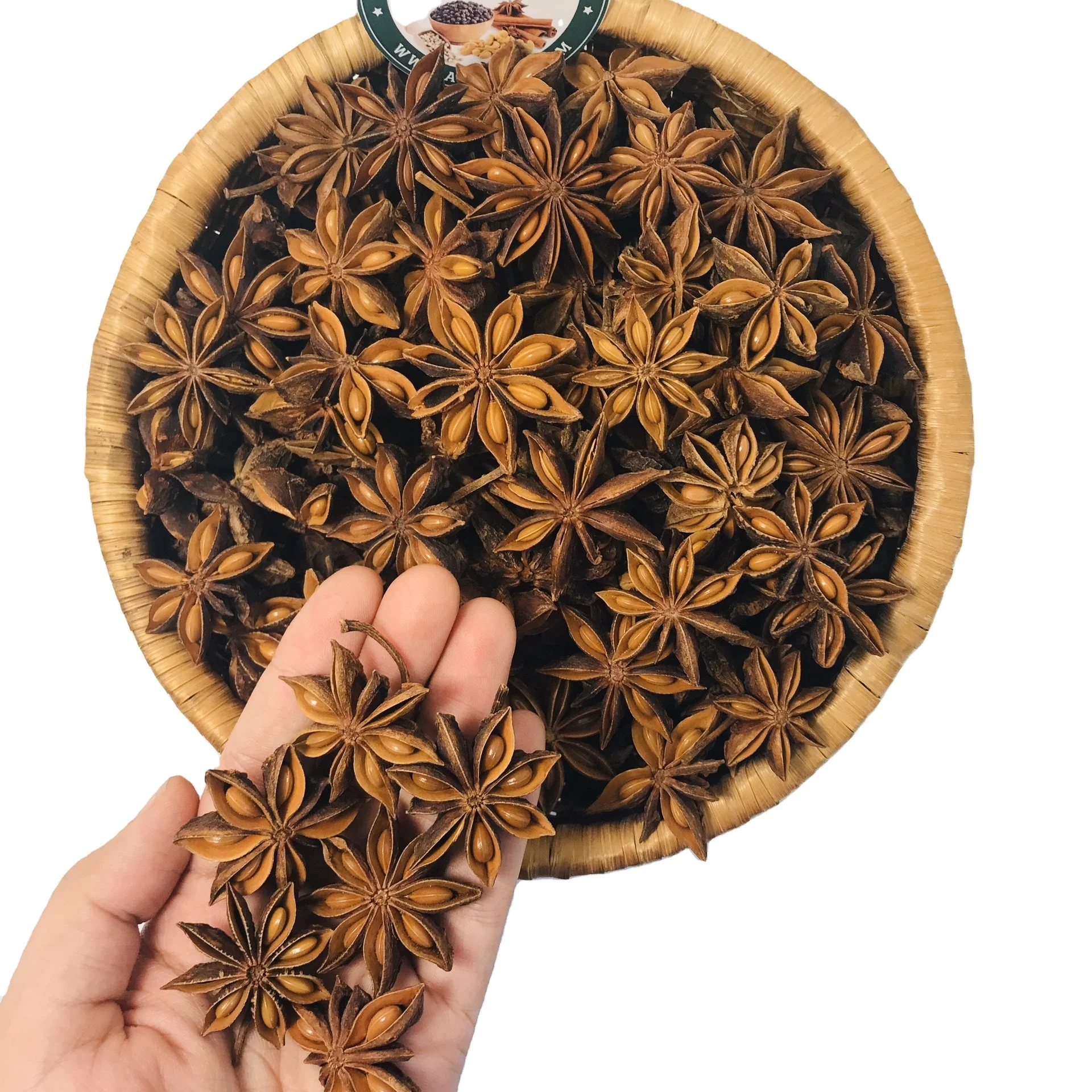 The best price in the market for star aniseed - Ms Ruby +84 359318390