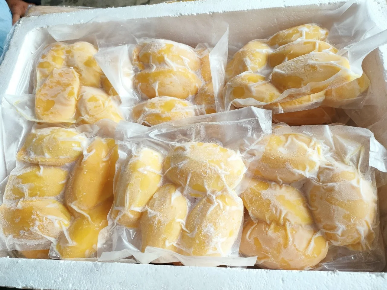  IQF Frozen Mango cat chu sliced high quality from VietNam (Whatsapp: +84906880004 (Mr.Dat)