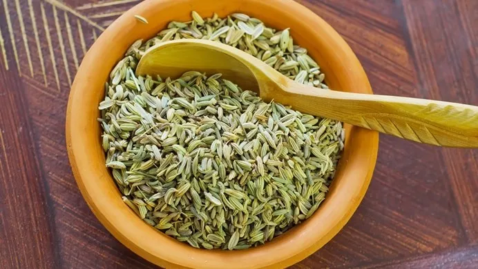 Direct Factory Price Natural Green Fennel Indian Single Spices & Herbs Buy From Indian Manufacturer at Best Rate