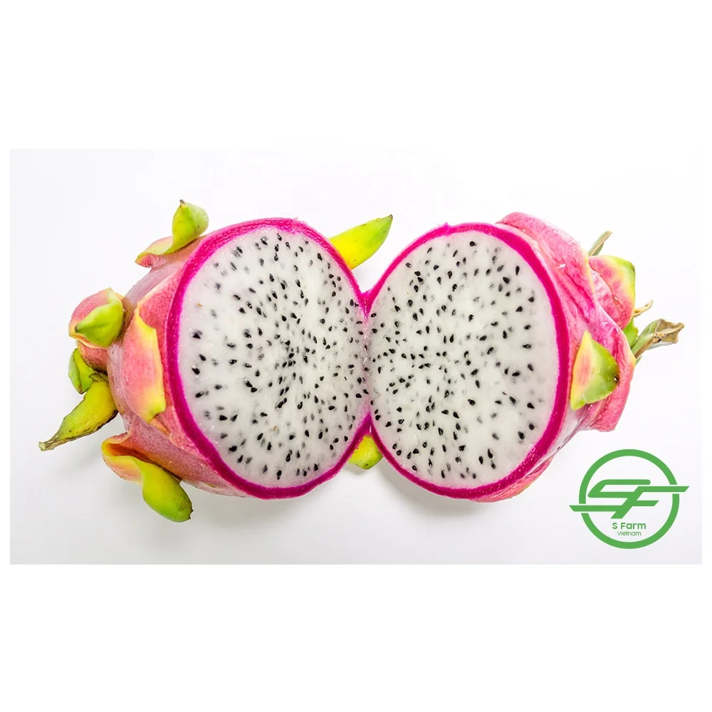 Fresh White Dragon Fruit from Vietnam with standard quality and best price high quality for export White flesh ready to shipping