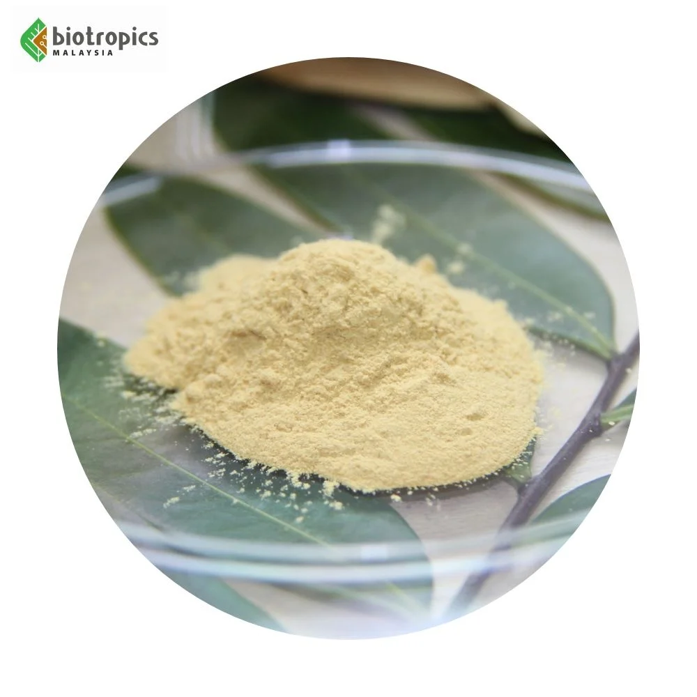 New High Quality Malaysia Plant Extract Tongkat Ali PG5 100% Roots for Energy, Muscle Building, Stamina