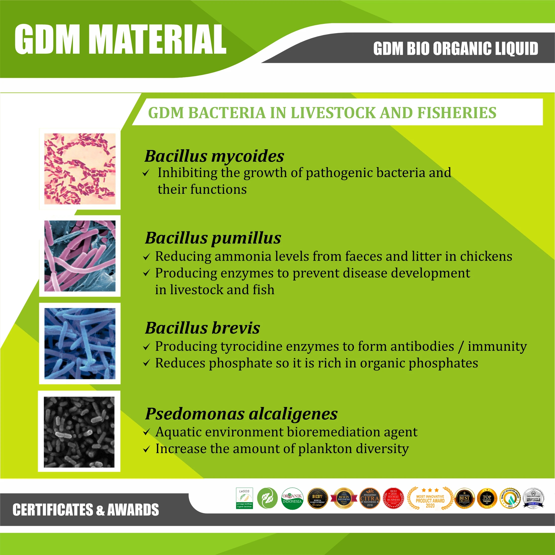 The Best and Cheapest Bio-Organic Probiotics for Livestock in Asia and Africa, Rich in Various Good Bacteria and Vitamins