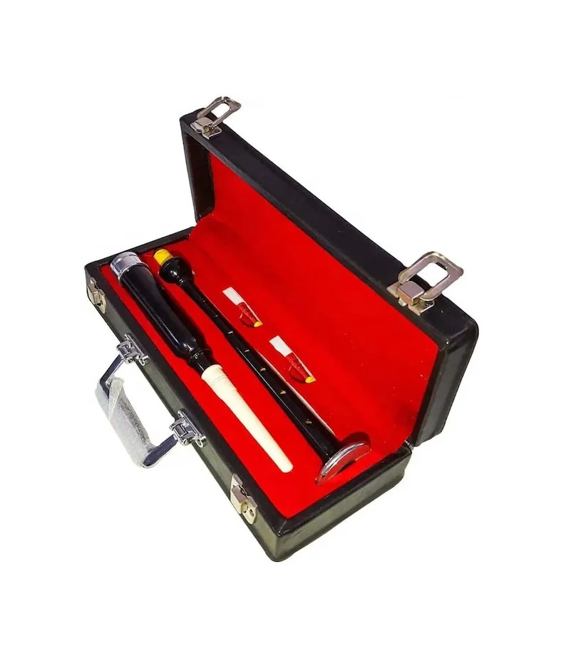 Professional Black Great Scottish Bagpipe Practice Chanter Beginner Chanter with 2 Reeds & Hard Case Highland Musical Instrument