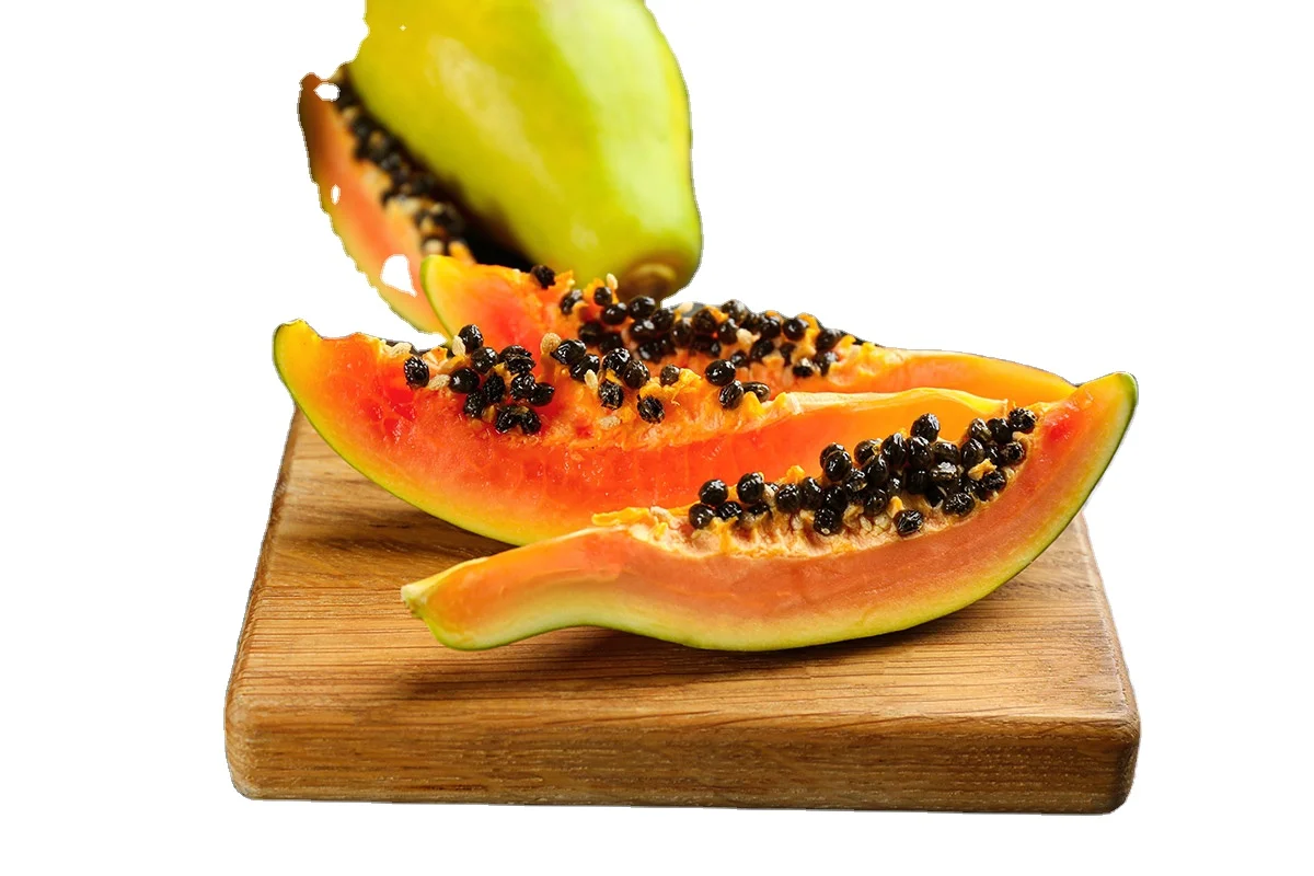 Papaya Red Glory F1 / Red Lady f1 Hybrid 500 piece packing per packet available for export in Pouch Packing and Tin Packing