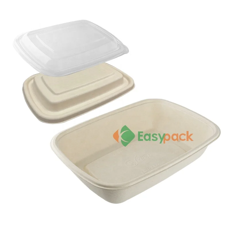 25 oz rectangular eco-friendly biodegradable food takeaway boxes