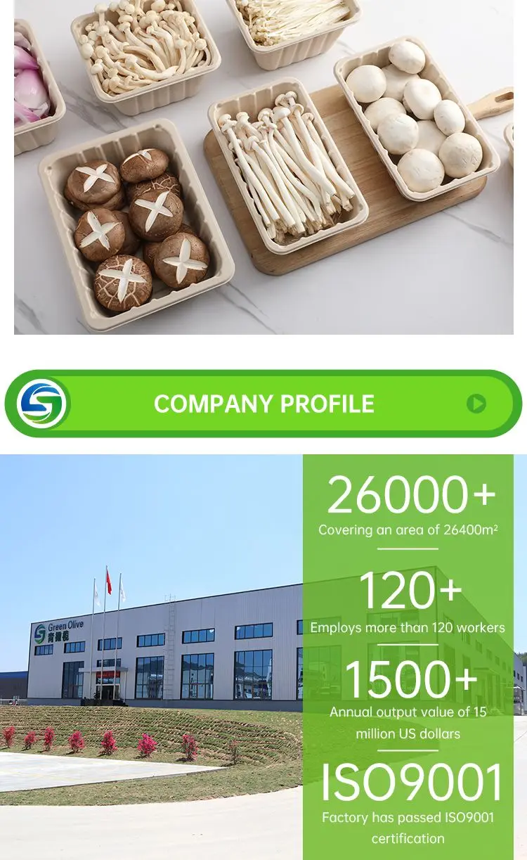 Disposable Sugarcane Bagasse Molding Pulp Mushroom Packaging Trays,Sugarcane Pulp Mold Square Mushroom Fruit Vegetable Tray