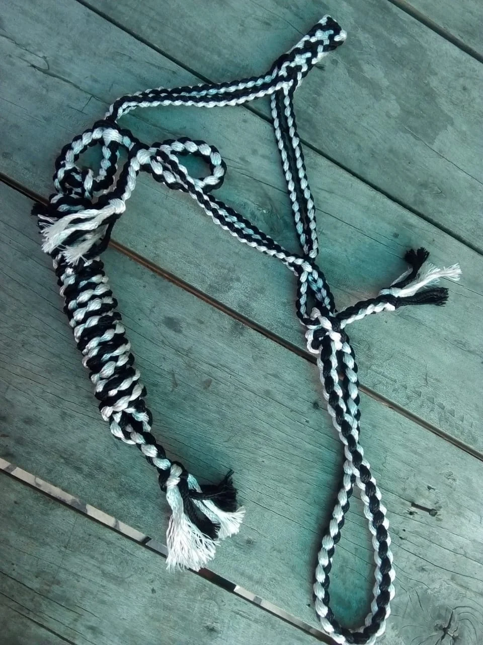 Most Popular Colorful Natural Rawhide Knotted Horse Rope Halter in Very Cheap Price
