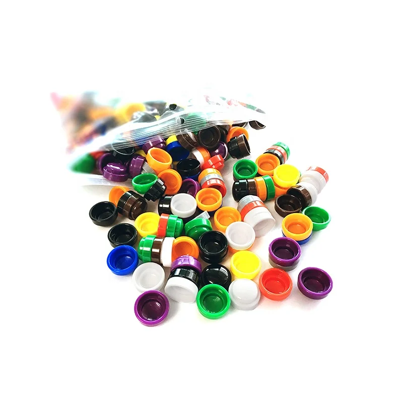 Set of 500 Piece Plastic Building Blocks - STEM DIY Craft Project -  Plastic Building Bricks - Toddlers Kids Preschool