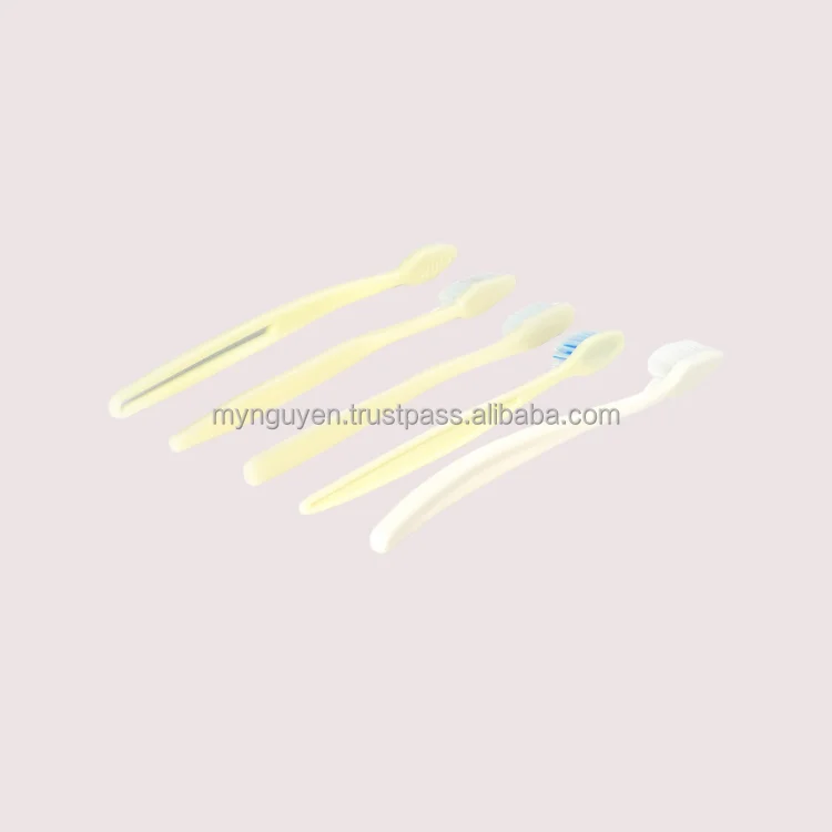Hotel Toothbrush Modern Design Using For Tooth Cleaning Custom Oem Odm Tooth Cleaning Packaging In Box Viet Nam Manufacturer