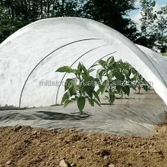 PP Spunbond Nonwoven Agricultural Nonwoven Mulch Film Ground Cover Cloth Weed Barrier Fabric