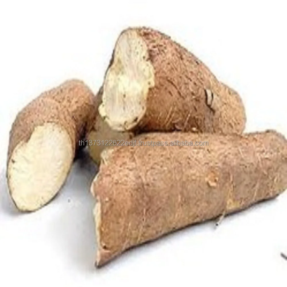 cassava-907.jpg